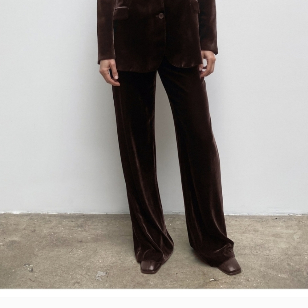 Zara velvet pant